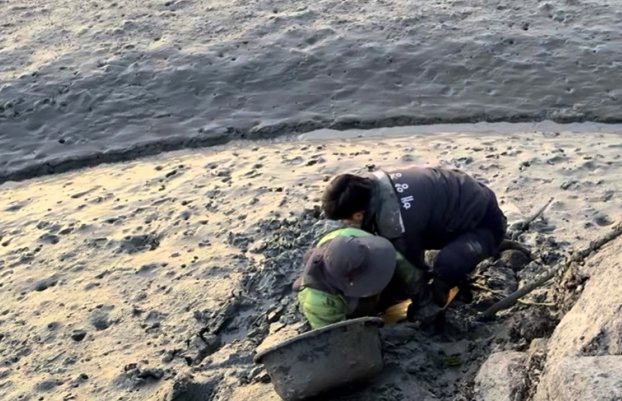 [장흥=뉴시스] 해경이 17일 오전 전남 장흥군 이회진항 인근 갯벌에서 파래를 채취하다 뻘 속에 고립된 50대 여성 을 구조하고 있다. (사진=완도해경 제공) 2025.02.17. photo@newsis.com *재판매 및 DB 금지