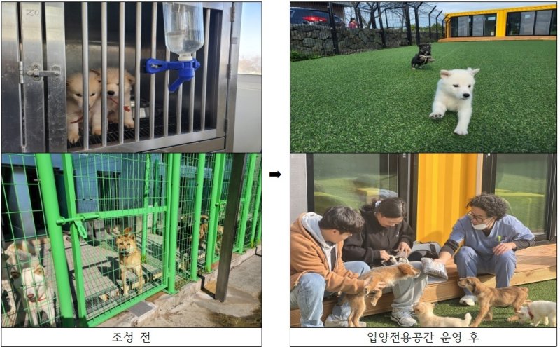 입양전용공간 '아우름동' 운영 (출처=연합뉴스)