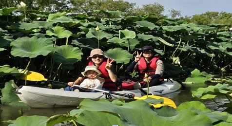 '부여 서울농장' 체험 모습. (부여군 제공. 재판매 및 DB금지) /뉴스