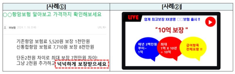 주요 금융상품 광고 점검결과 유의사항 등 안내. 금융감독원 제공