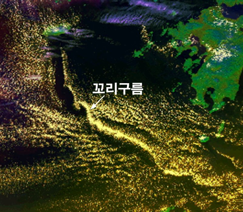 [청주=뉴시스] 충북 청주 소재 기상청 제휴 관측기관 고려대기환경연구소가 17일 공개한 제주도 남부의 꼬리구름. 미국해양대기청(NOAA) 위성이 포착한 영상을 보면 제주도 남부에서 일본 오키나와 북부까지 1000㎞가량 늘어져있는 걸 확인할 수 있다. (사진=고려대기환경연구소 제공) 2025.02.17. photo.newsis.com *재판매 및 DB 금지