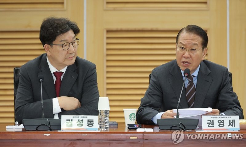 발언하는 국민의힘 권영세 비상대책위원장 (출처=연합뉴스)