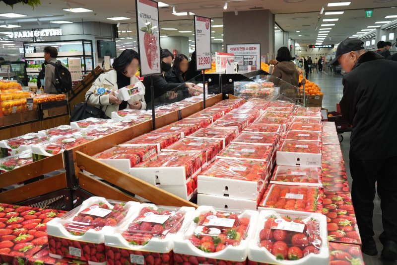 롯데마트와 롯데슈퍼가 20일부터 당일 새벽 수확해 오후에 입고되는 '새벽 딸기' 판매에 나선다.(롯데마트제공)