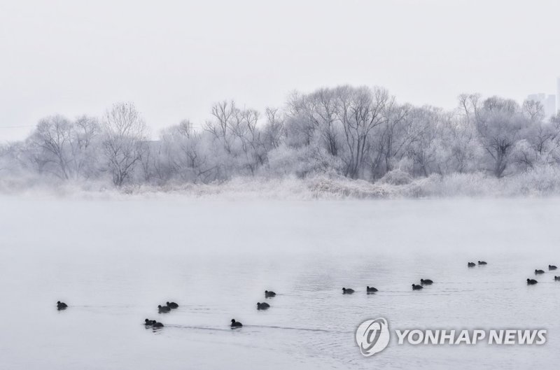 물안개와 상고대 핀 소양강 (출처=연합뉴스)