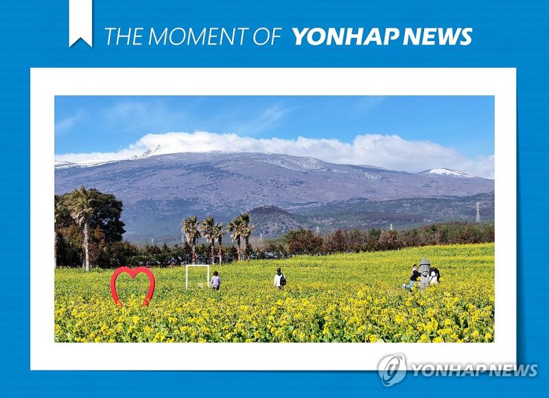 [모멘트] 겨울 가고 이제 봄 (출처=연합뉴스)