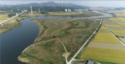 곡교천 하류 물억새 군락지 전경 (출처=연합뉴스)