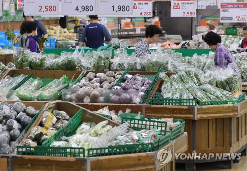대형마트 채소 판매대 (출처=연합뉴스)