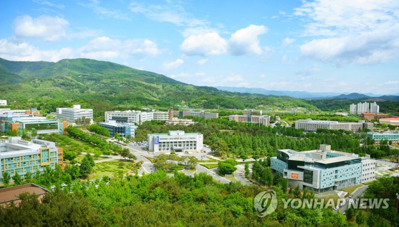 대구가톨릭대 (출처=연합뉴스)