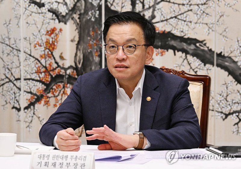 최상목 권한대행 (출처=연합뉴스)