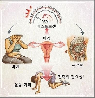 폐경기 질병의 위험과 운동의 필요성 (출처=연합뉴스)