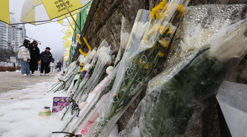 [대전=뉴시스] 강종민 기자 =지난 12일 초등학생 피살 사건이 발생한 대전 서구 관저동의 한 초등학교 담장에 고 김하늘 양을 추모하는 문구와 국화를 시민들이 살펴보고 있는 모습. 2025.02.12. ppkjm@newsis.com