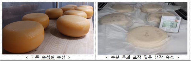 농촌진흥청은 숙성치즈를 생산하는 데 필요한 노동력을 줄일 수 있는 '치즈 숙성용 포장필름'을 개발해 실증 연구를 실시한다고 19일 밝혔다. (사진 = 농진청 제공) 2025.02.19. *재판매 및 DB 금지