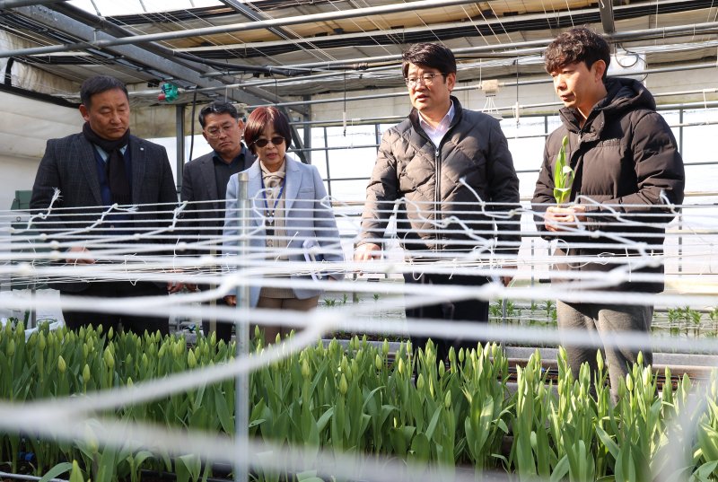 [세종=뉴시스] 권재한 농촌진흥청장은 19일 전북 완주군에 있는 화훼농장을 방문해 청년농업인 유입 확대와 안정 정착에 관한 현장 목소리를 들었다. (사진=농진청 제공) 2025.02.19. photo@newsis.com *재판매 및 DB 금지