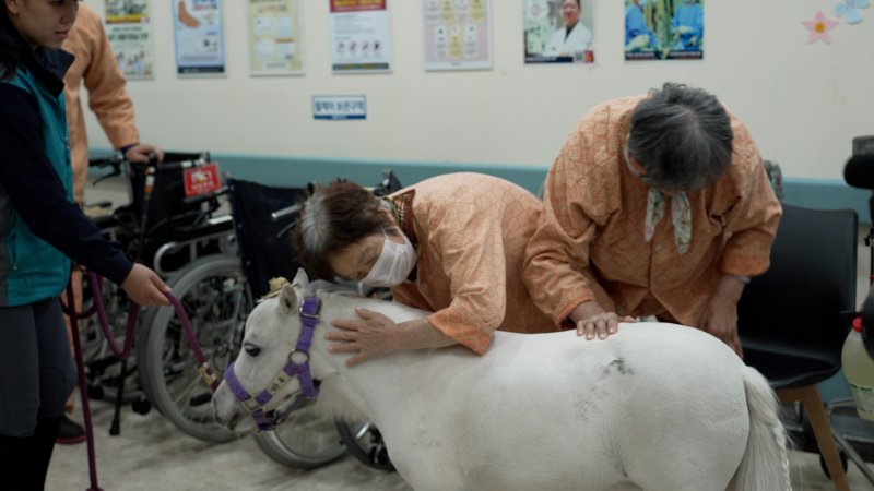 [부산=뉴시스] 렛츠런파크 부산경남의 찾아가는 홀스테라피 모습. (사진=한국마사회 제공) 2025.02.19. photo@newsis.com *재판매 및 DB 금지