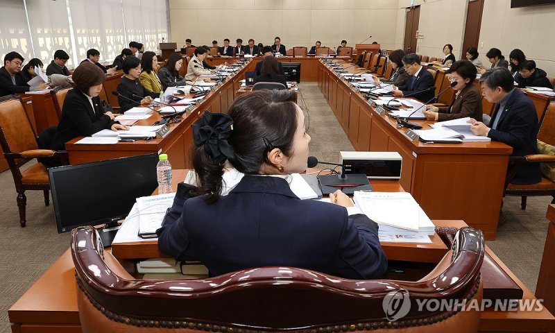 법안심사제1소위 주재하는 강선우 소위원장 (출처=연합뉴스)