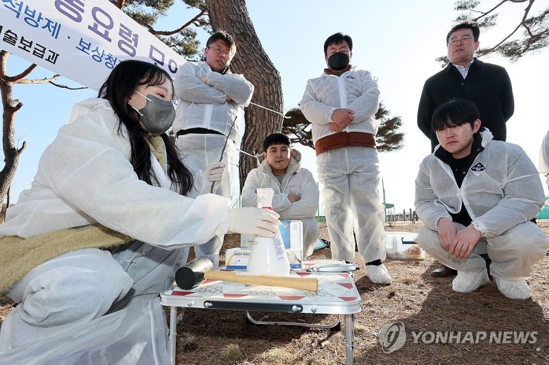 강원농업기술원, 과수화상병 발생 모의 훈련 실시 (출처=연합뉴스)