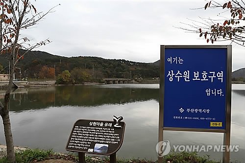 부산 회동 수원지 (출처=연합뉴스)