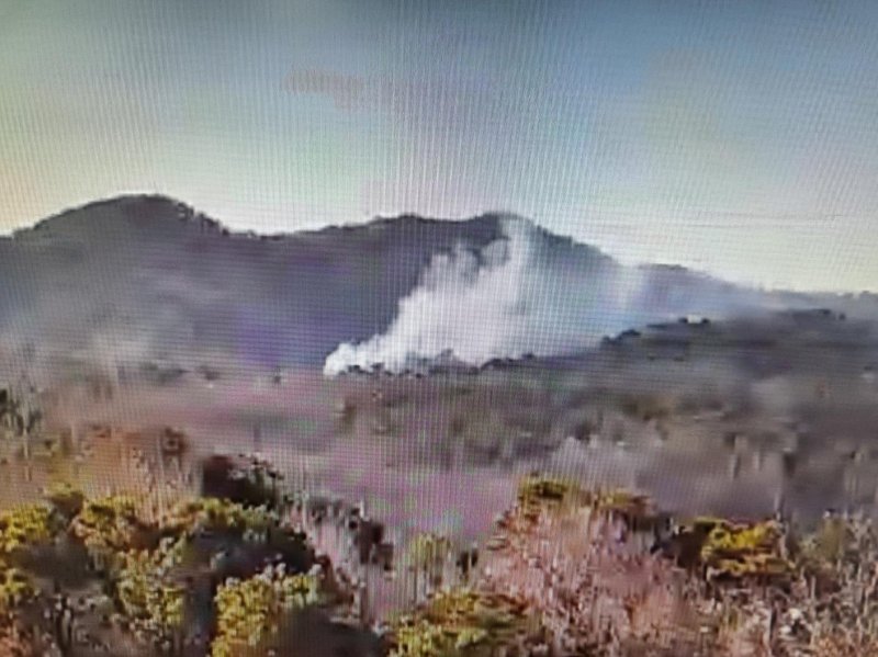 공주 탄천면 남산리 산불 현장. (산림청 제공. 재판매 및 DB금지) /뉴스1