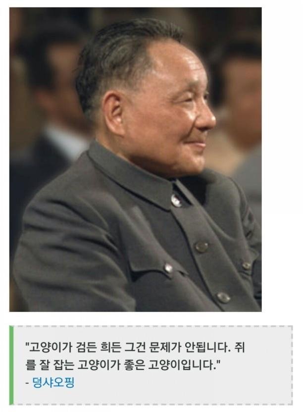 [인&아웃] 흑묘백묘론 (출처=연합뉴스)