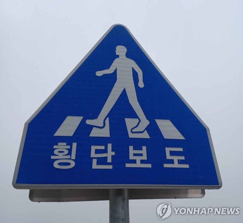횡단보도 (출처=연합뉴스)