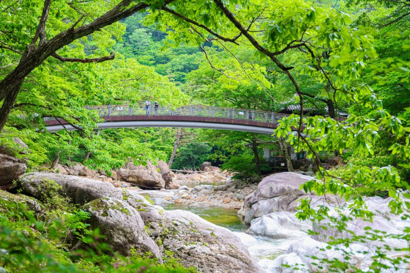 [산청=뉴시스] 산청군청 여름 - 대원사계곡길 *재판매 및 DB 금지 *재판매 및 DB 금지