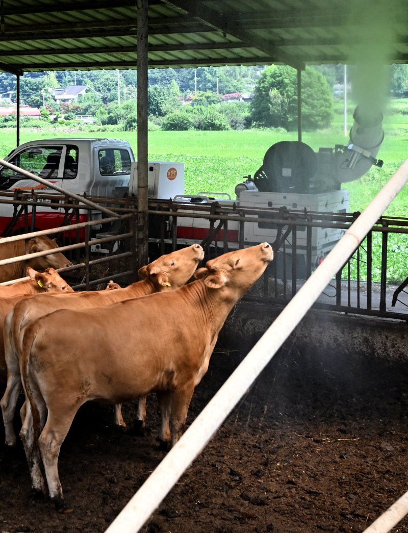 (출처=뉴시스/NEWSIS)