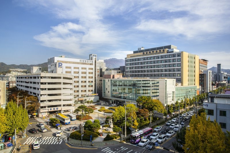 전남대학교병원의 전경./뉴스1