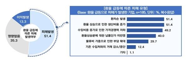 환율 급등에 따른 피해 (출처=연합뉴스)