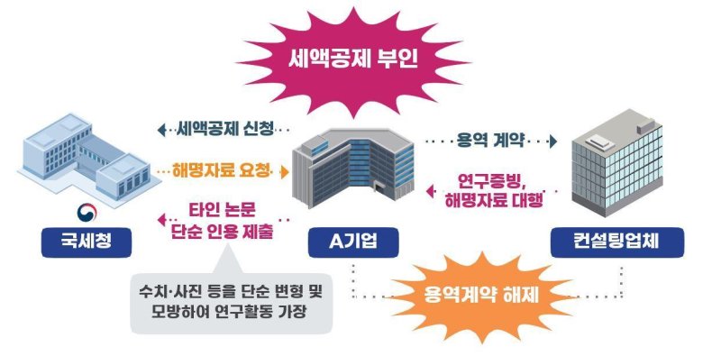 타인 논문 등 도용한 부당 세액공제 사례(국세청 제공). 2025.02.20/뉴스1
