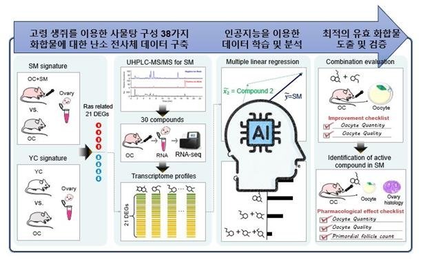 연구 모식도 (출처=연합뉴스)