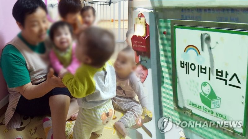 입양(CG) (출처=연합뉴스)
