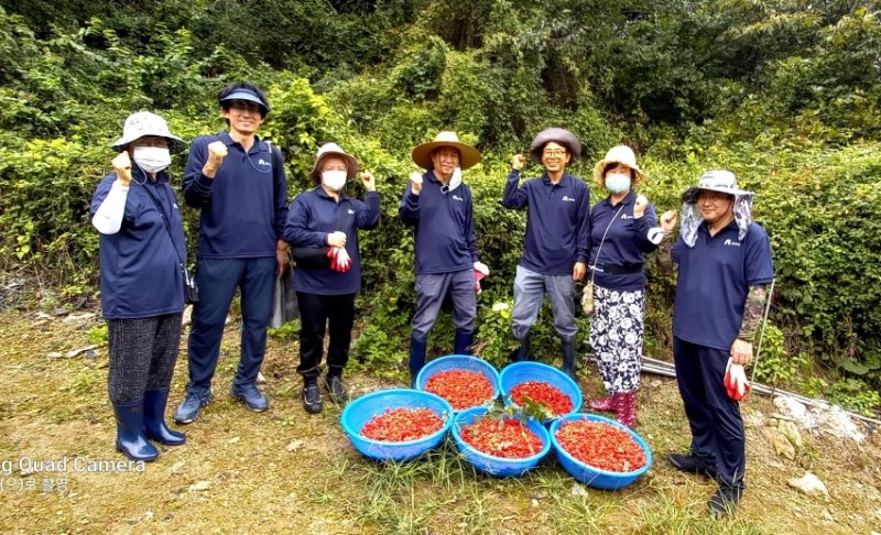 공주 농촌 체험 (출처=연합뉴스)
