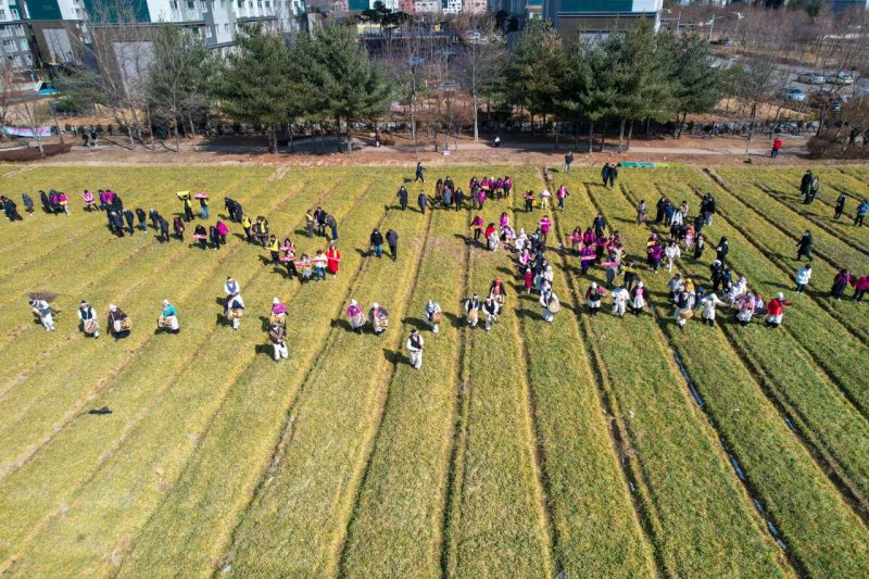[증평=뉴시스] 20일 충북 증평군 증평읍 송산리에서 증평군민들이 송산초등학교 신설을 기원하는 청보리밟기 행사를 진행하고 있다. (사진=증평군 제공) 2025.2.20. photo@newsis.com *재판매 및 DB 금지