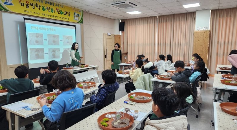 겨울방학 어린이 원예교실 모습. (계룡시 제공. 재판매 및 DB금지) /뉴스1