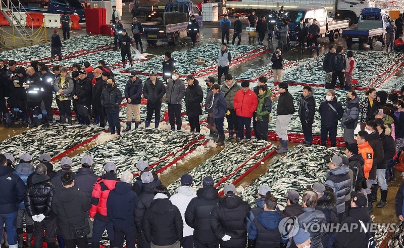 부산공동어시장 (출처=연합뉴스)