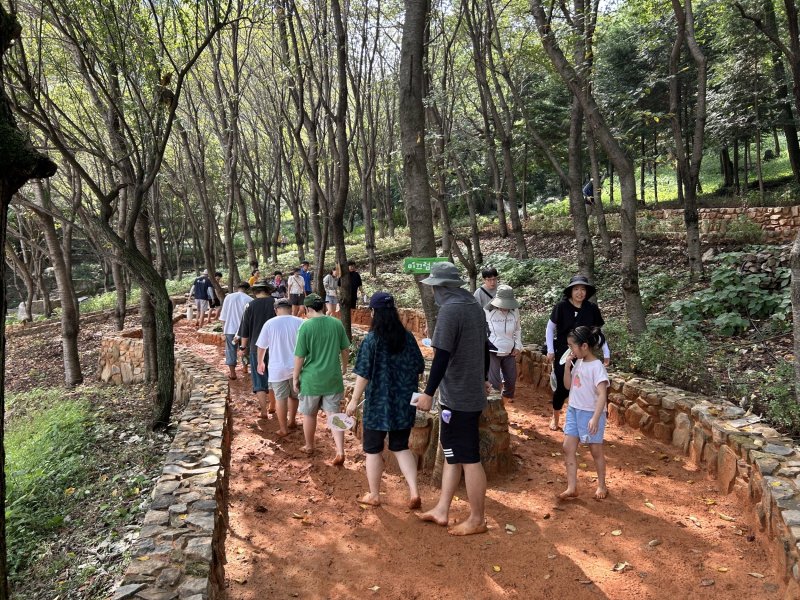 '월아산 숲속의 진주' 산림치유 프로그램(진주시 제공. 재판매 및 DB금지).