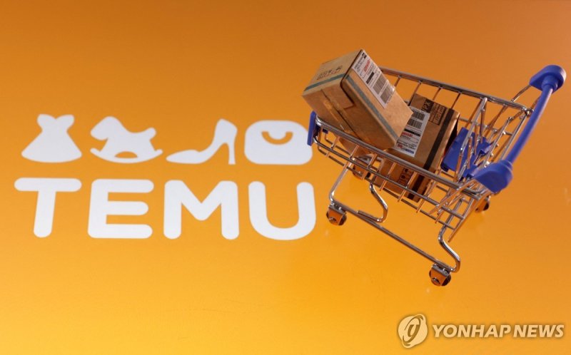 테무 (출처=연합뉴스)