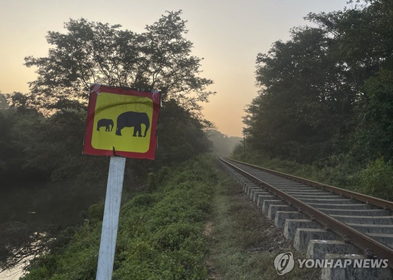 야생 콜끼리 안내 팻말 (출처=연합뉴스)