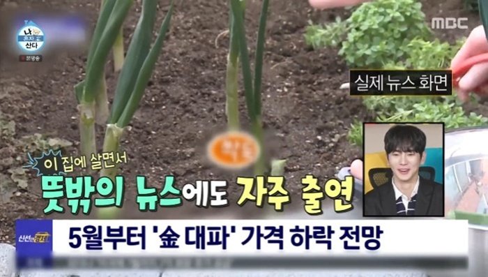 키, 뉴스 단골 출연 집 떠난다…할 수 있는 것 다 해