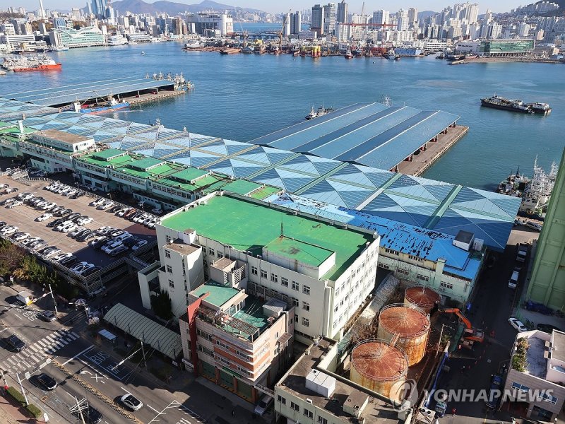 부산공동어시장 (출처=연합뉴스)