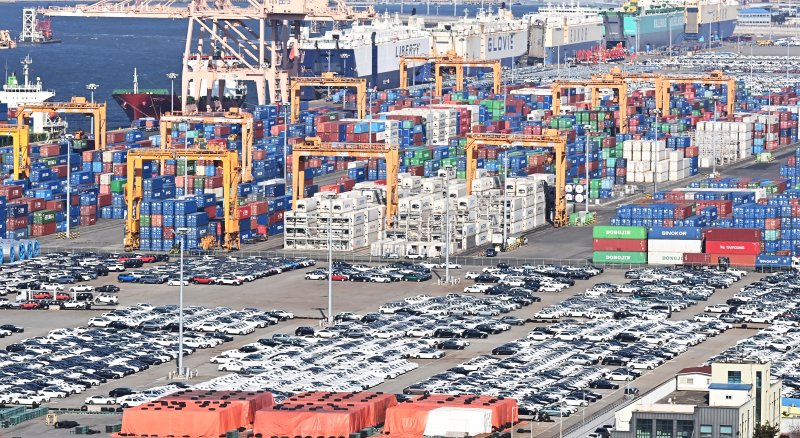 [평택=뉴시스] 김종택 기자 = 19일 경기도 평택시 포승읍 평택항 야적장에 수출용 자동차들이 세워져 있다. 2025.02.19. jtk@newsis.com