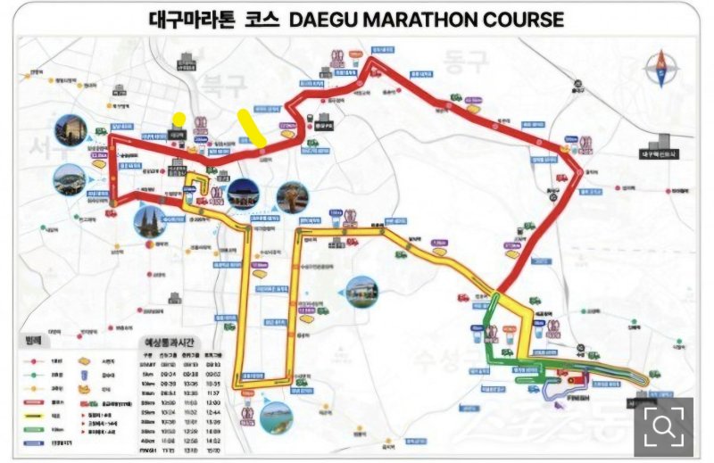 대구마라톤 코스/뉴스1