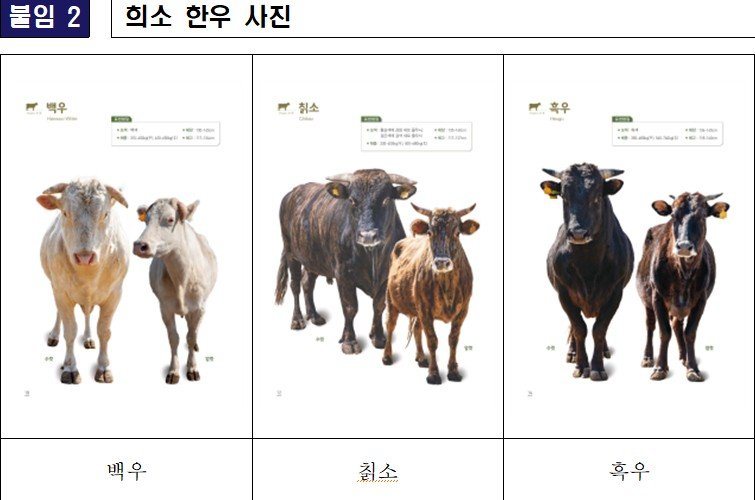[세종=뉴시스] 농촌진흥청은 희소 한우의 체외수정란 생산율을 높일 수 있는 기술을 개발했다고 23일 밝혔다. 자료는 희소 한우 모습. (자료=농진청 제공) 2025.02.23. photo@newsis.com *재판매 및 DB 금지