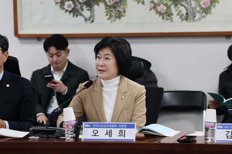 "776만 소상공인 위한 정책금융기관 설립" 모색
