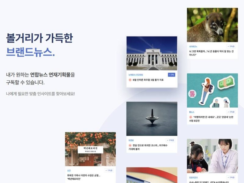 브랜드 뉴스 (출처=연합뉴스)