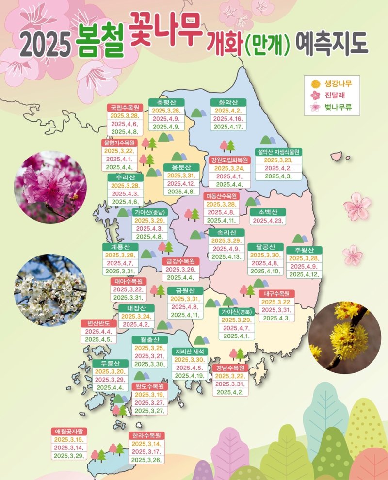 2025년 봄철 꽃나무 개화 예측지도 (출처=연합뉴스)