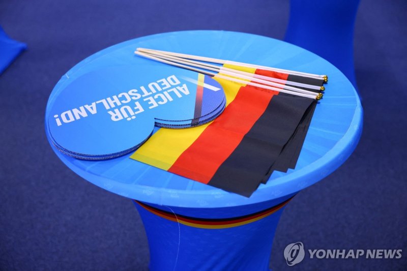 AfD (출처=연합뉴스)