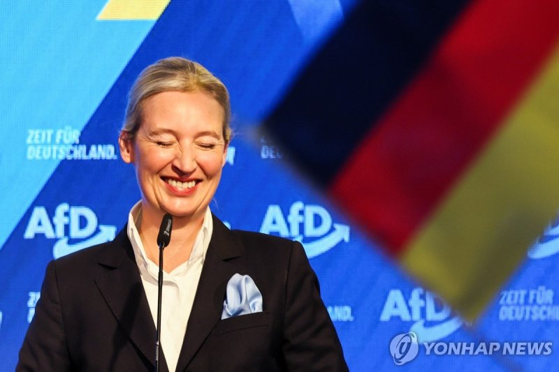 나치 판사의 동성애자 손녀…46세 극우 대표, 獨 정치판 중심에 (출처=연합뉴스)