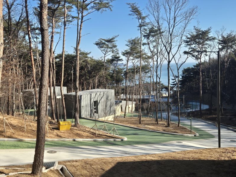 자연휴양림(인천 옹진군 제공.재판매 및 DB금지)