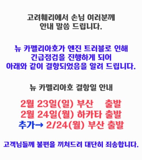 [부산=뉴시스] 뉴카멜리아호 결항 안내문. (사진=고려훼리 누리집 갈무리) 2025.02.24. photo@newsis.com *재판매 및 DB 금지